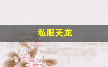 天龙公益服新开天龙网站：私服天龙 (14)