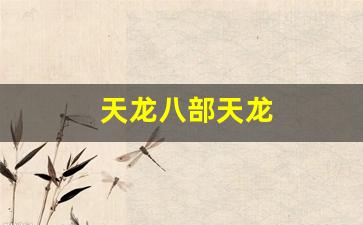 天龙八部天龙(天龙八部天龙派)