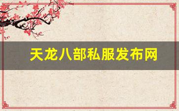 天龙八部私服官网：天龙八部私服发布网(天龙八部官网) (3)