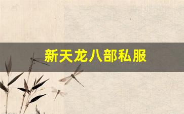 新天龙八部私服 (7)