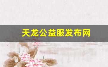 天龙公益服发布网(天龙八部全公益服) (2)