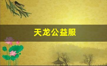 天龙公益服(天龙八部公益服发布) (3)