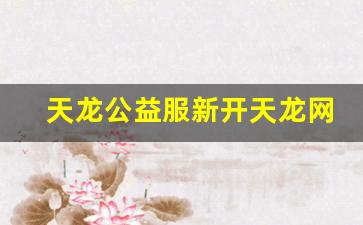 天龙公益服新开天龙网站(天龙官方) (2)