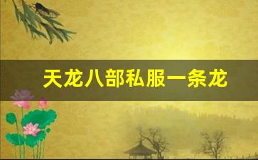 新开天龙私服：天龙八部私服一条龙(天龙八部游戏一条龙任务是什么) (3)