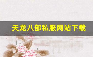 天龙sf发布网：天龙八部私服网站下载 (15)