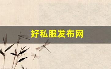 好私服发布网 (2)