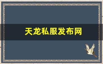 最新天龙八部私服网：天龙私服发布网(最新天龙sf发布网列表) (14)