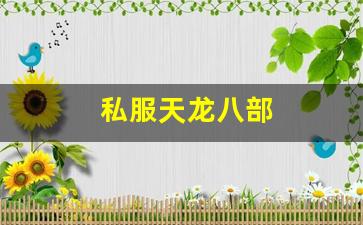 私服天龙八部 (7)
